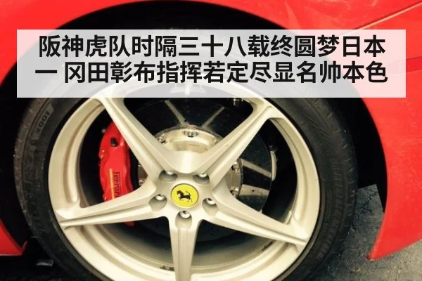 阪神虎队时隔三十八载终圆梦日本一 冈田彰布指挥若定尽显名帅本色